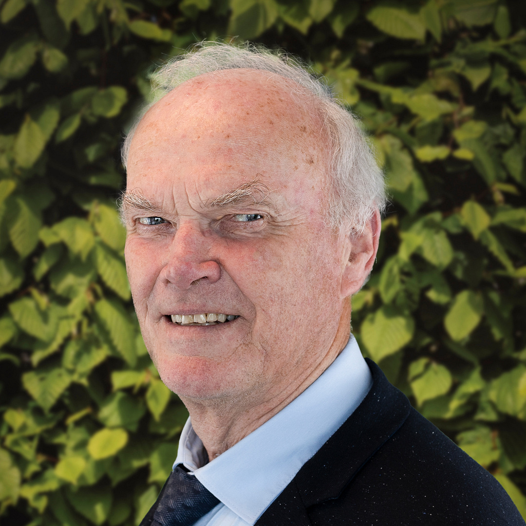 jan de vries