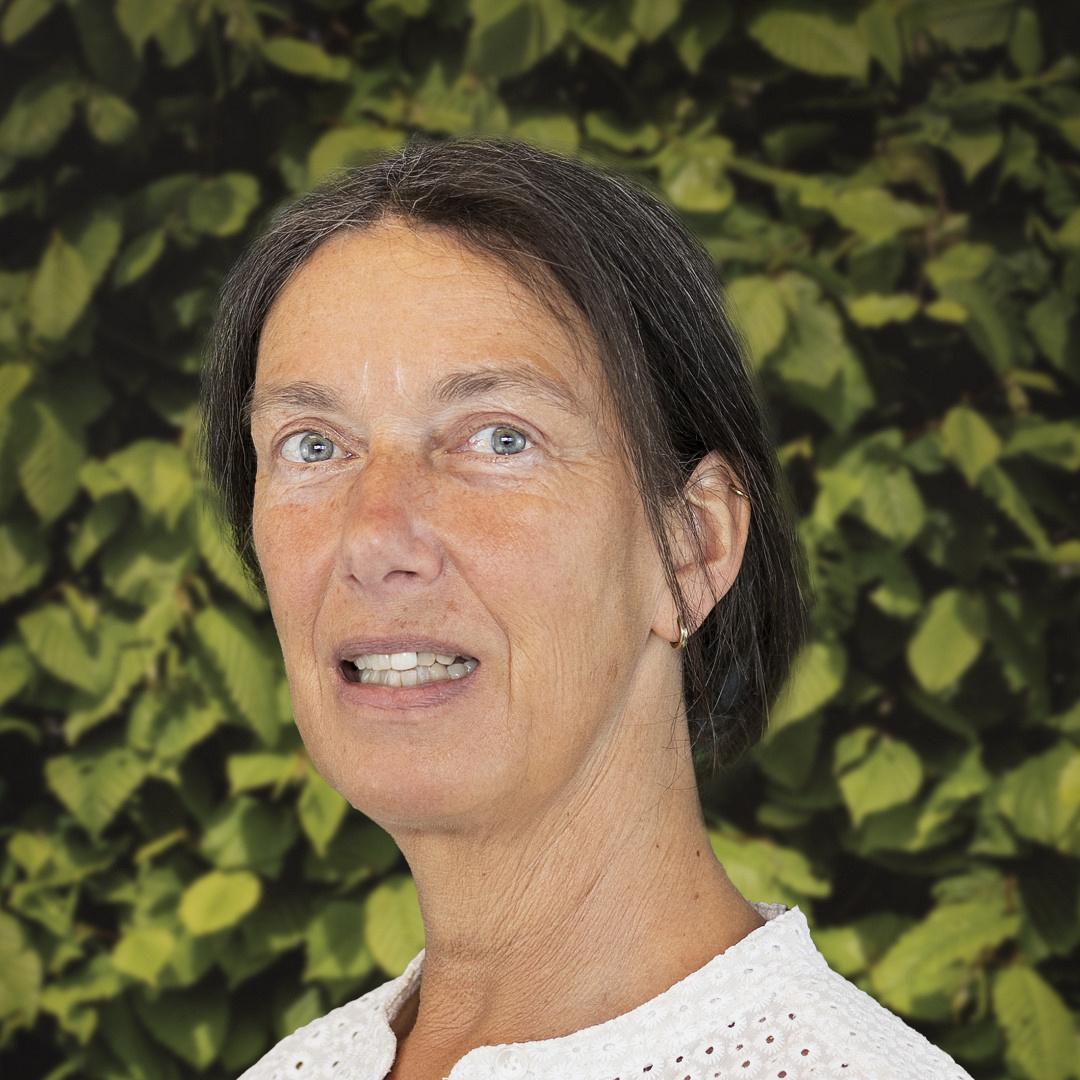ester van hartevelt