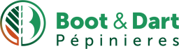 Boot en Dart - Boot & Dart