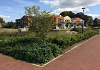 mahonia sioux in zorgeloos groen 1 