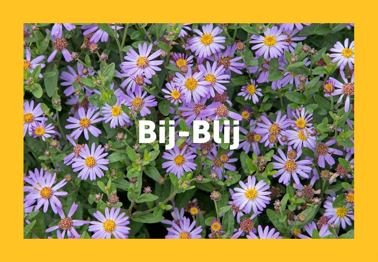 vk vergroenpakketten bij blij hr