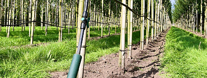 fertigatie systeem laanbomen