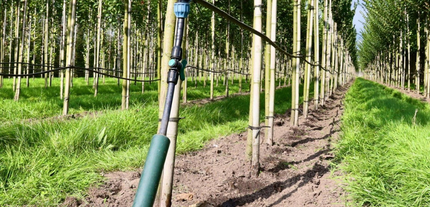 298 fertigatie systeem laanbomen